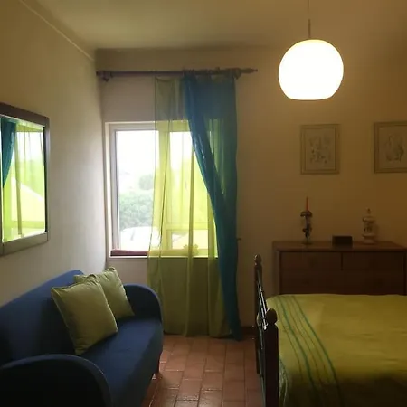 Pine Tree Vilita Pêra