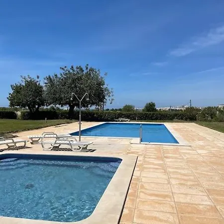 Pine Tree Vilita Apartamento *