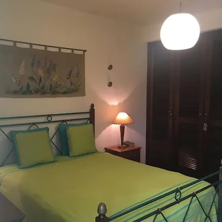Pine Tree Vilita Apartment