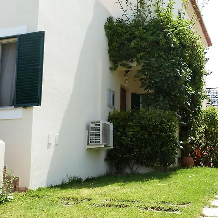 Pine Tree Vilita Pêra