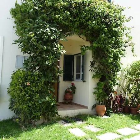 Apartamento Pine Tree Vilita *