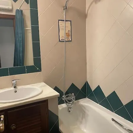 Daire Pine Tree Vilita