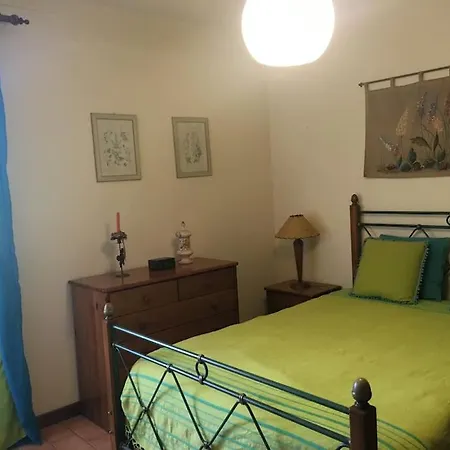 Pine Tree Vilita * Pêra