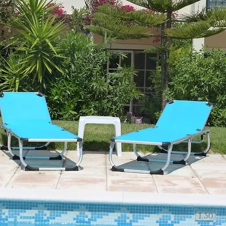 Daire Pine Tree Vilita *