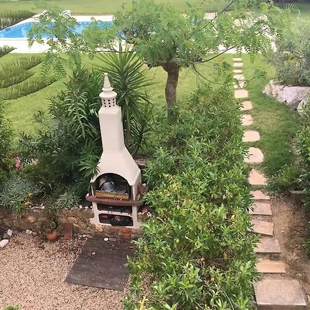 Pine Tree Vilita Pêra