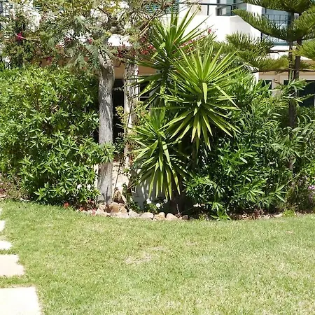Apartamento Pine Tree Vilita *