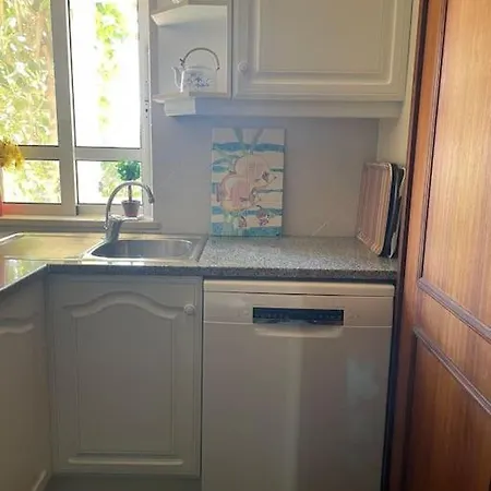 Pine Tree Vilita Pêra