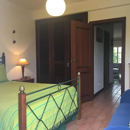 Pine Tree Vilita * Pêra